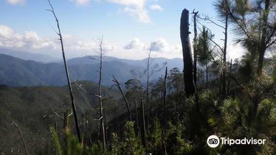 Parque Nacional Jose Armando Bermúdez
