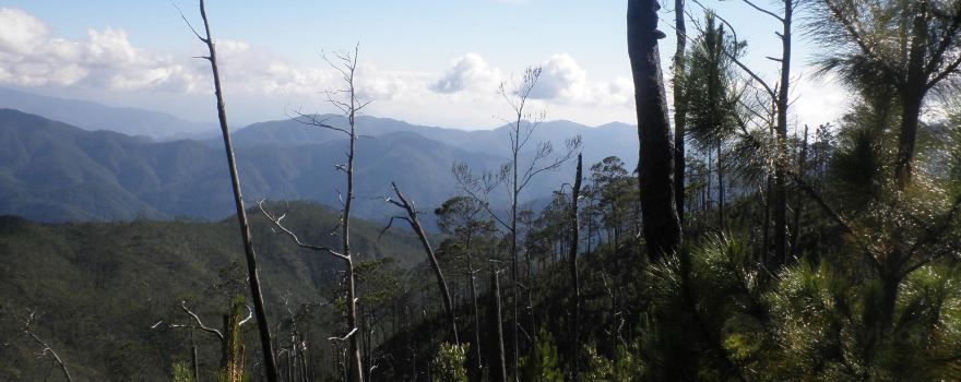 Parque Nacional Jose Armando Bermúdez