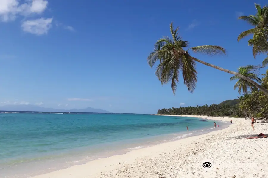 Feuillere Beach