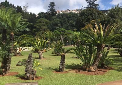 Madeira Botanical Garden