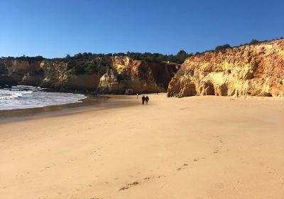 Praia do Alemao