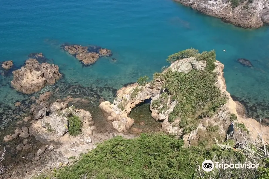 Matiu / Somes Island