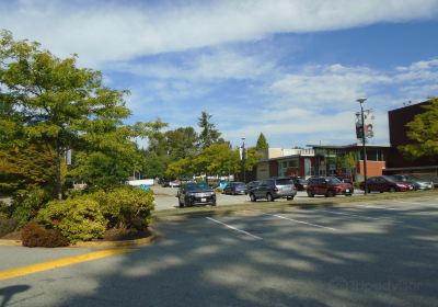 Surrey Art Gallery & Surrey Civic Theatres at Surrey Arts Centre