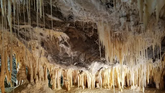 Mole Creek Caves