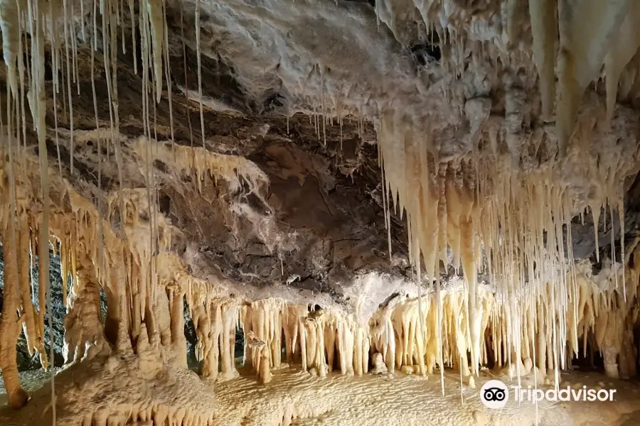 Mole Creek Caves