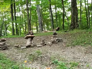 Monongahela National Forest