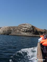 馬德萊娜群島