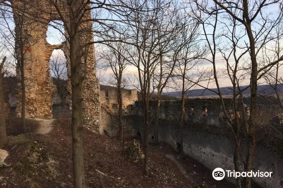 Castle of Dobrá Voda