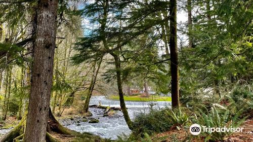 Big Creek Fish Hatchery