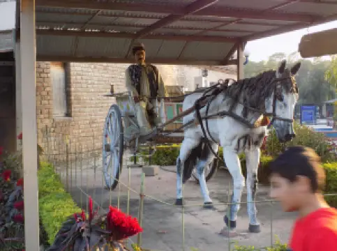 Lok Virsa Heritage Museum