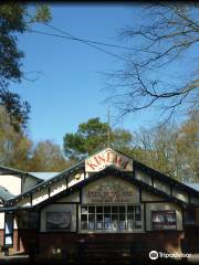 The Kinema in the Woods