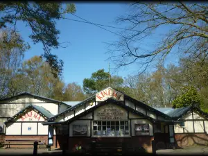 The Kinema In The Woods