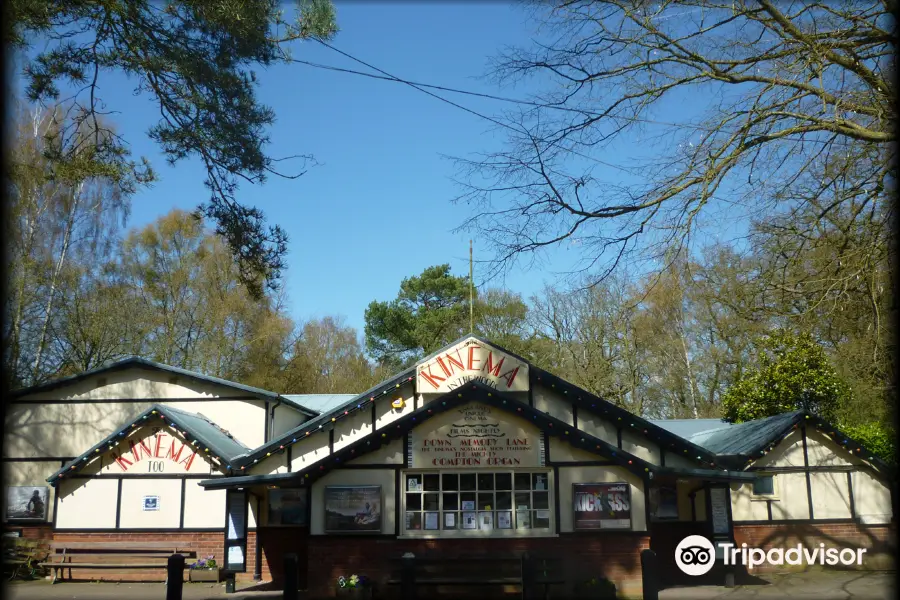 The Kinema In The Woods
