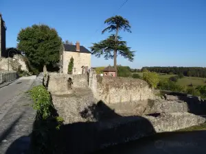 Château de Domfront