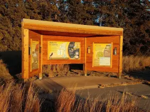 Quivira National Wildlife Refuge