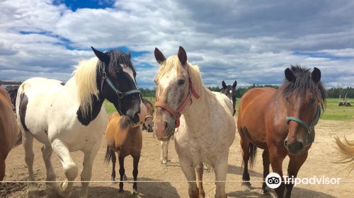 Wagonwheel Ranch