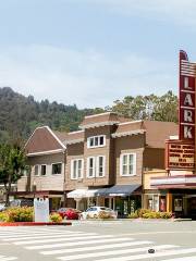 The Lark Theater