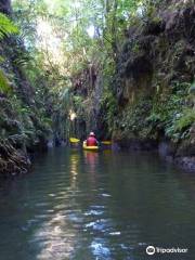 The Boatshed Kayaks