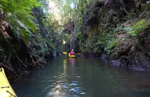 The Boatshed Kayaks