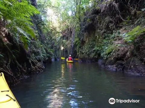 The Boatshed Kayaks