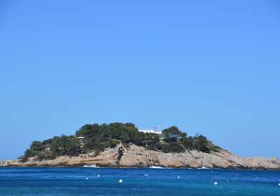 Playa Puerto de San Miguel