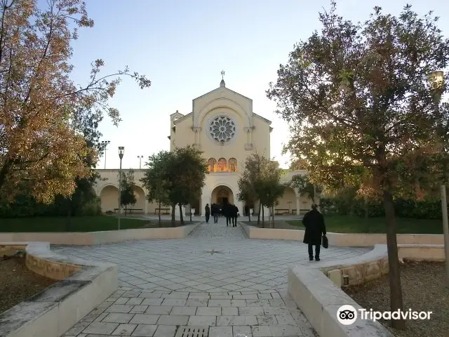 Pontificio Seminario Regionale Pio XI