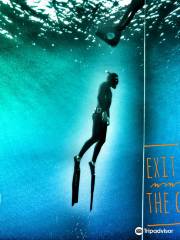 Life Aquatic Freediving and Yoga School