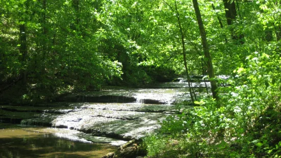 Beaman Park Nature Center