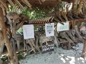 Baraka Natural Aquarium - Nungwi