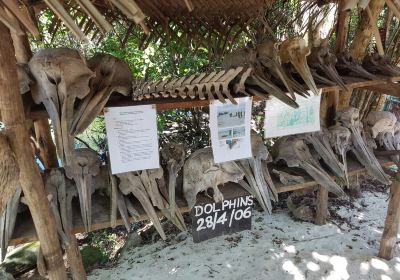 Baraka Natural Aquarium - Nungwi