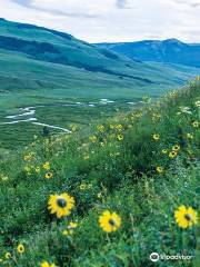 Crested Butte Mountain Resort