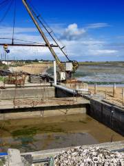 Fort Royer Oyster Site