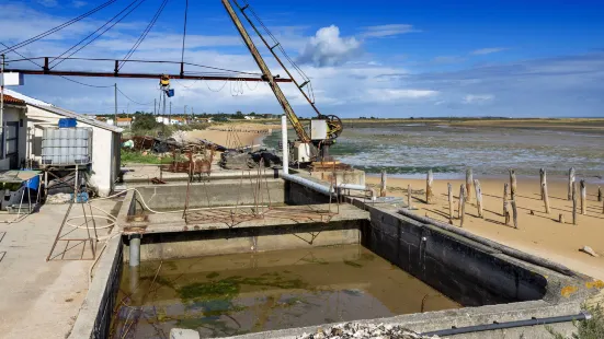 Fort Royer Oyster Site