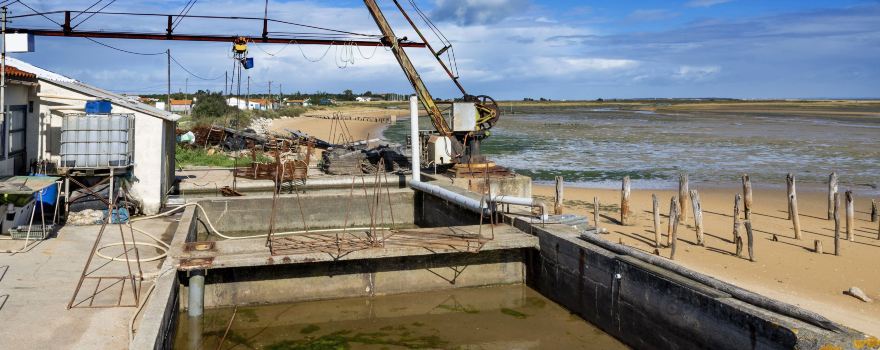 Fort Royer Oyster Site