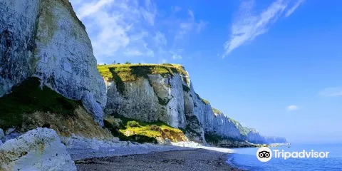 Valleuse de Senneville-sur-Fecamp