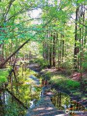 Walterboro Wildlife Sanctuary