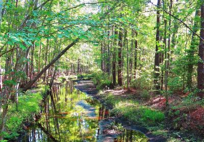 Walterboro Wildlife Sanctuary