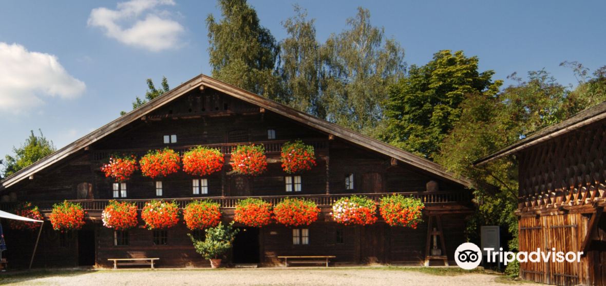 Rottal Inn Nach Toten Greifvögeln Das Ergebnis Der Durchsuchung Schockiert - mptd02m