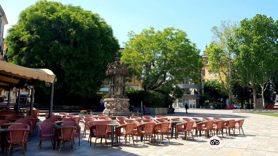 Gabbia Del Pozzo Scotti