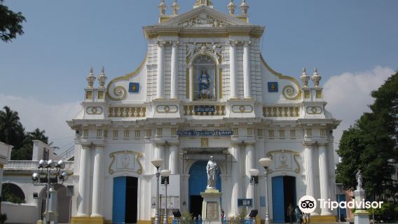 Our Lady of Immaculate Conception Cathedral