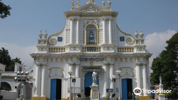 Our Lady of Immaculate Conception Cathedral