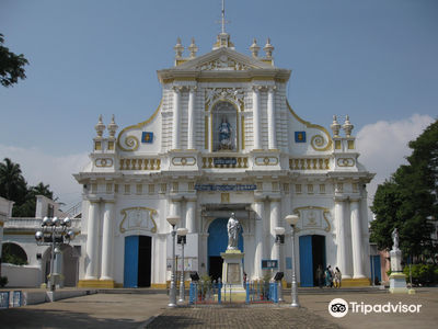 Our Lady of Immaculate Conception Cathedral