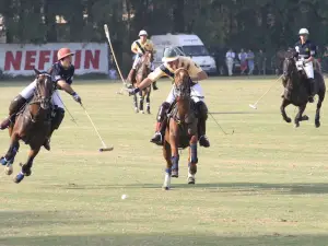 Polo Santa Maria