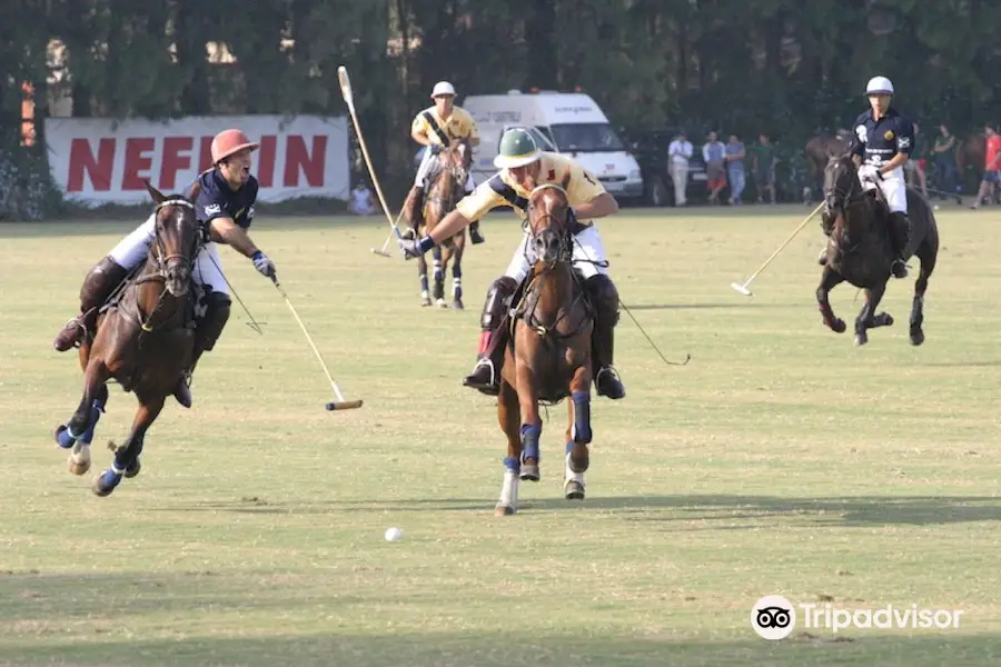 Polo Santa Maria