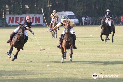 Polo Santa Maria