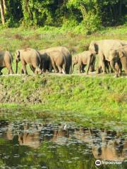 Chapramari Wildlife Sanctuary