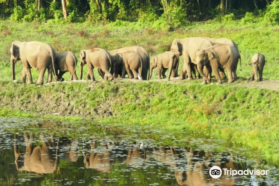 Chapramari Wildlife Sanctuary