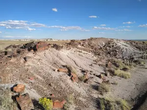 Long Logs Loop