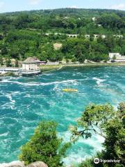 Rhine Falls