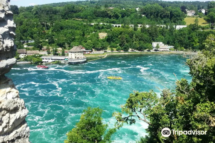 Rhine Falls